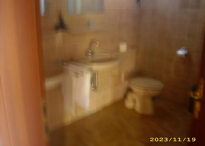 酒店 欧罗巴酒店 3*