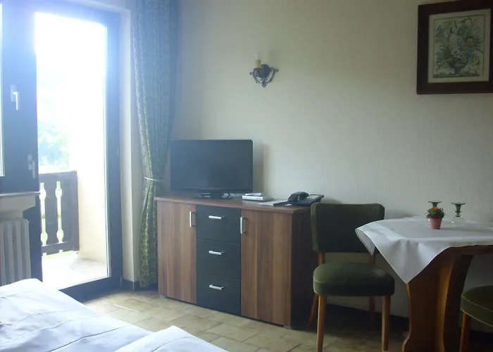 酒店 欧罗巴酒店 3*