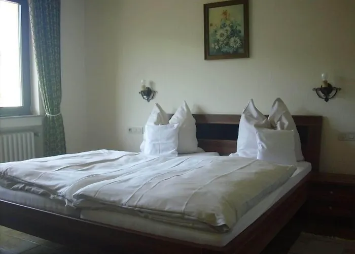 酒店 欧罗巴酒店 3*