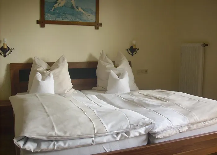 欧罗巴酒店 酒店 3*